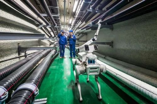 云深处电力四足机器人入选浙江省首台 套