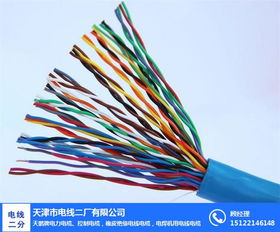 天津电线电缆 电线二厂