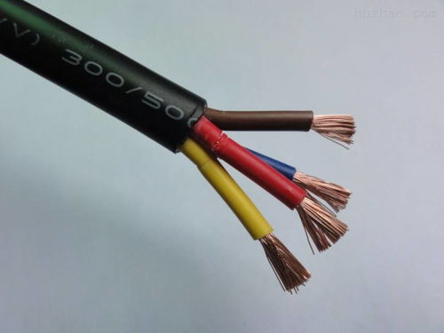 揭西县西门子dp通讯电缆 南京专卖