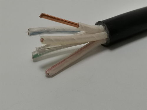 第8页 产品展示 深圳市龙岗区东江电线厂
