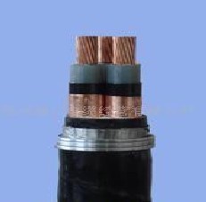 山西利兴特种电缆 通信、电工电气与休闲运动领域的专业仪器仪表解决方案